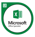 Advance Excel and Macro development experts